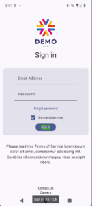 Screenshot of the demo app with a green outline around the 'Sign in' button text.