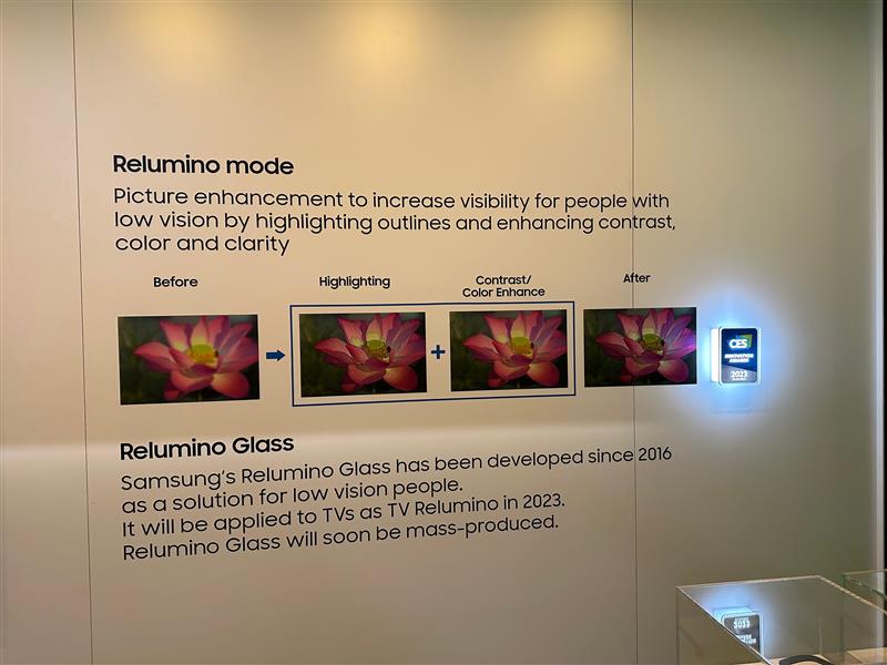 A display showcasing a picture of a flower and how the Relumino mode can enhance picture visibility for people with low vision by highlighting outlines and enhancing contrast color and clairty.