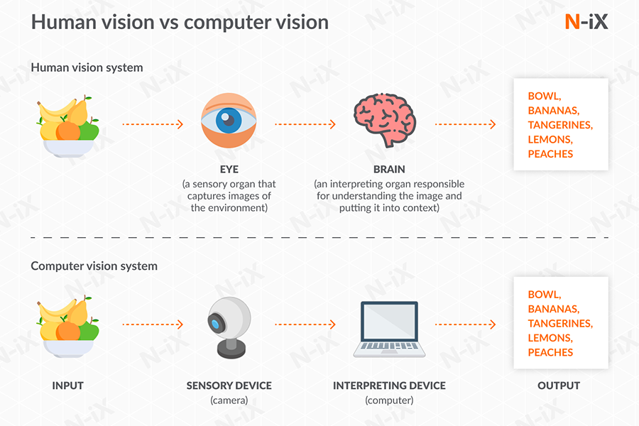 Comparison of human and computer visual systems
