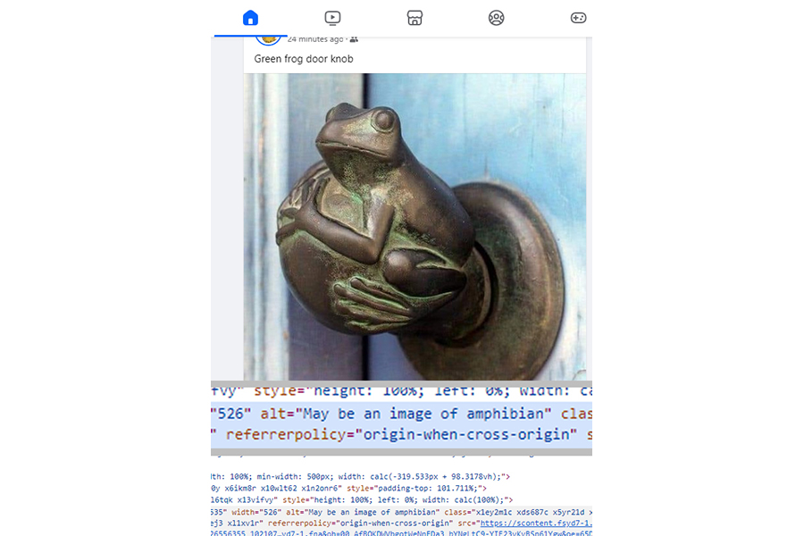 Door knob in the shape of a frog