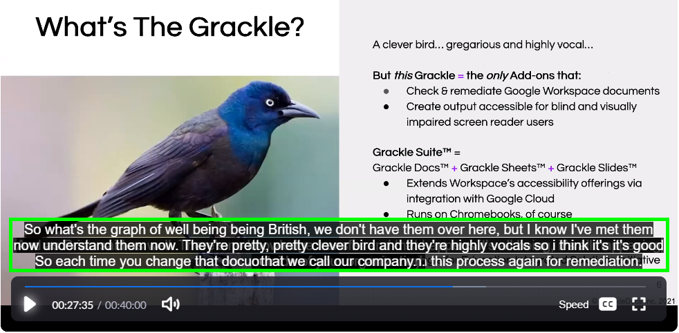 Auto-captioning in use during a webinar. The presenter's slide is about a bird called a grackle and how it relates to some software. The speaker's words are not accuratley captured by the auro-captioning though.