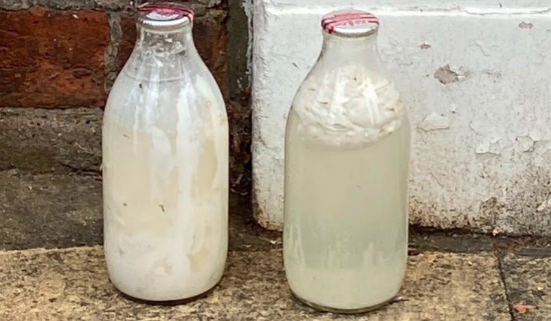 2 bottles of curdled milk.