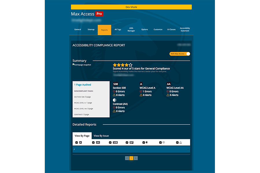 Max Access remediation report