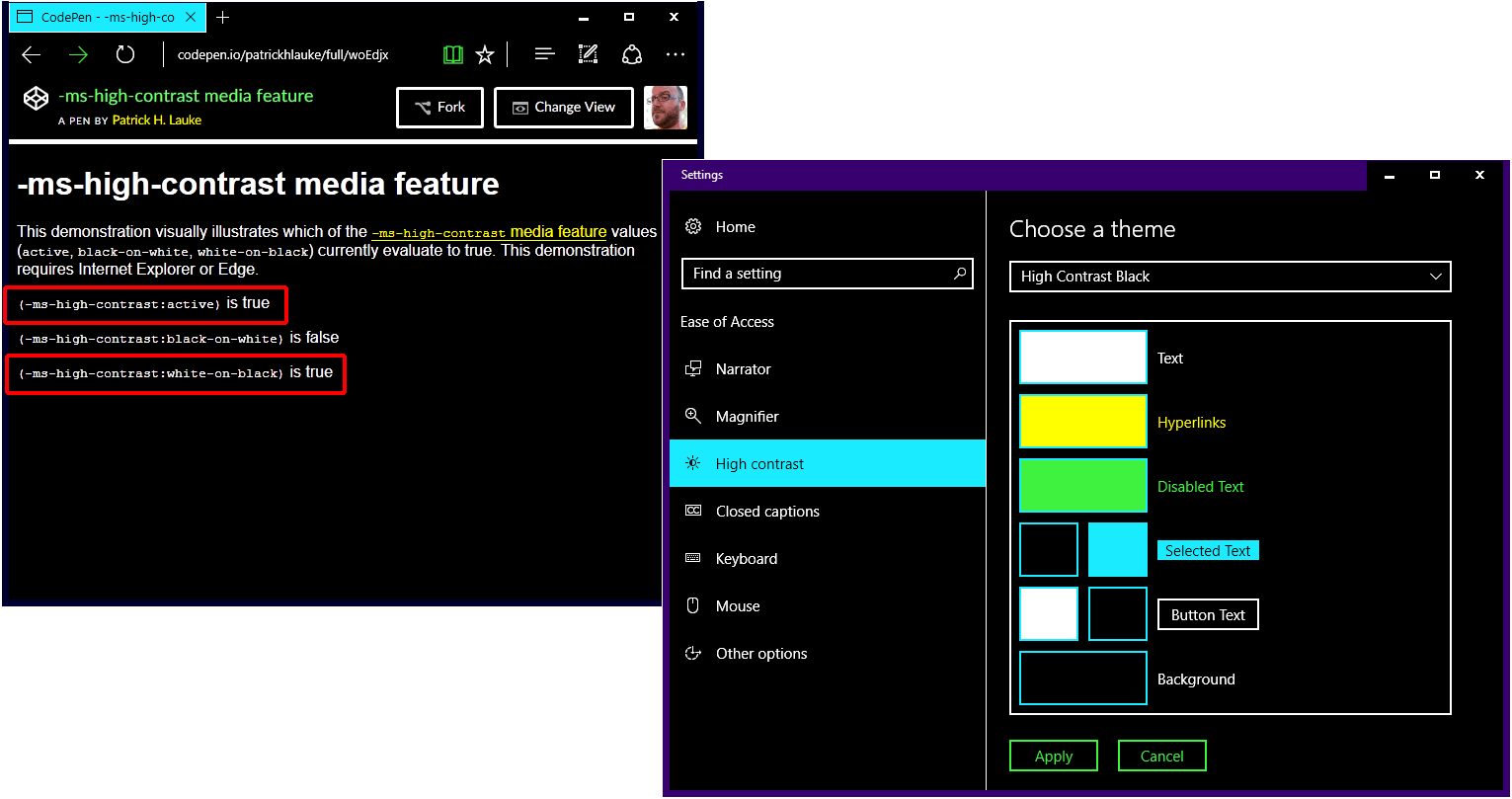 Screenshot of media feature test in Edge in High Contrast Black mode