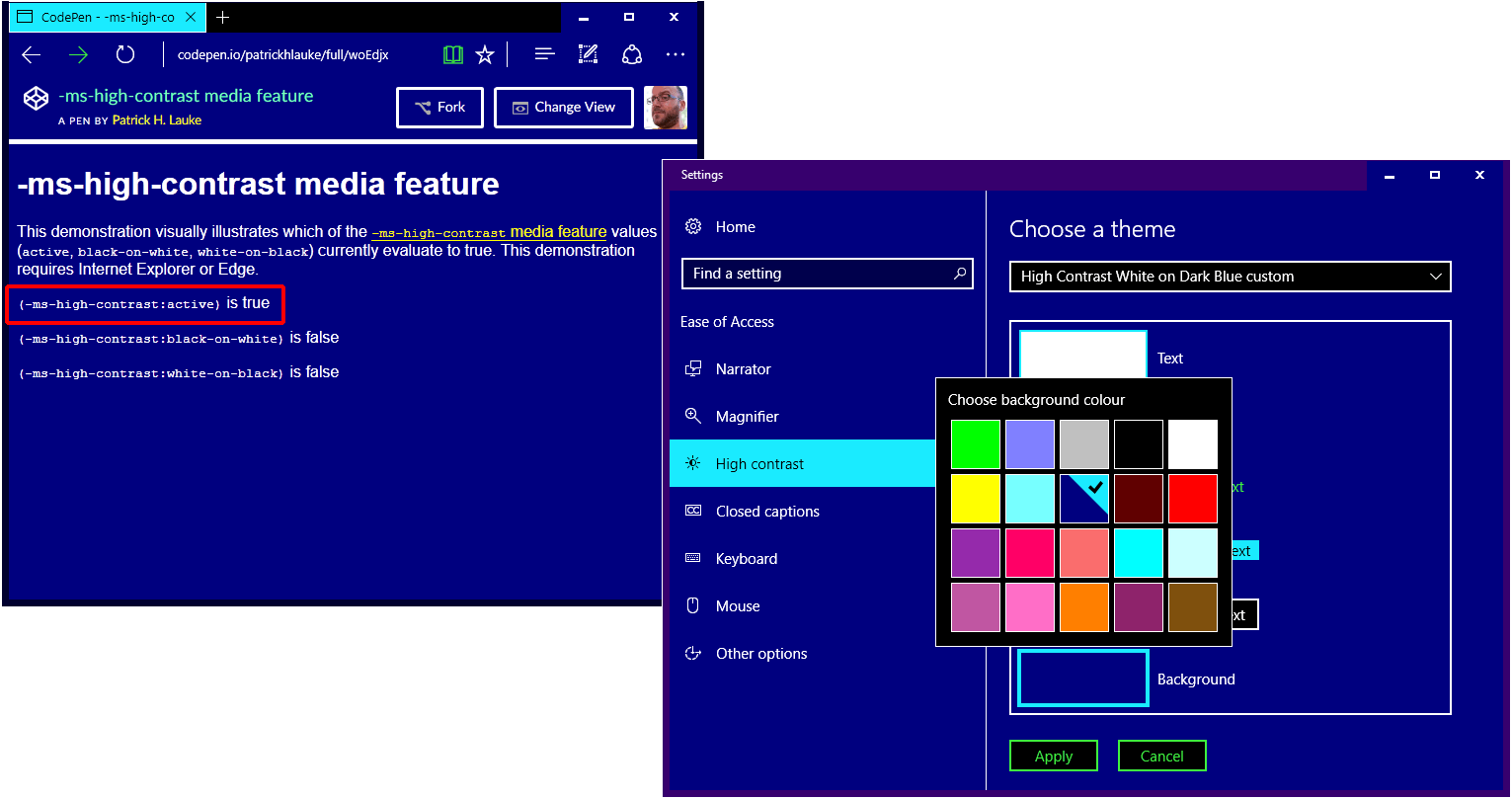 Screenshot of media feature test in Edge in a custom high contrast mode